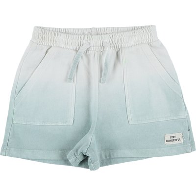 Short -  Très bon état ZARA