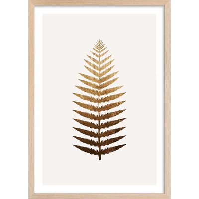 Affiche fleurs Fougere d'or HEXOA