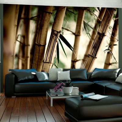 Papier peint intissé panoramique Orient Fog and bamboo forest EDEN