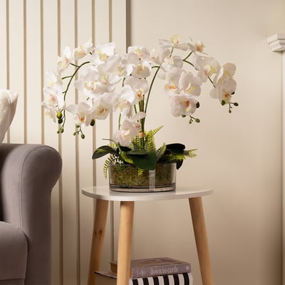 55cm Real Touch 5-Stem Orchid with Fern in Glass Pot SO'HOME