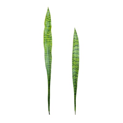 Set de 2 feuilles artificielles de sansevieria H91 SIA DECO