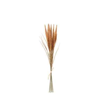 Bouquet de pampa 7 tiges artificielle H50 SIA DECO