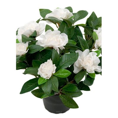 Gardenia Plante fleurie artificielle 8 fleurs ARTIFICIELLES