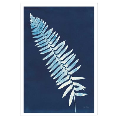 Affiche Fougère bleue HEXOA