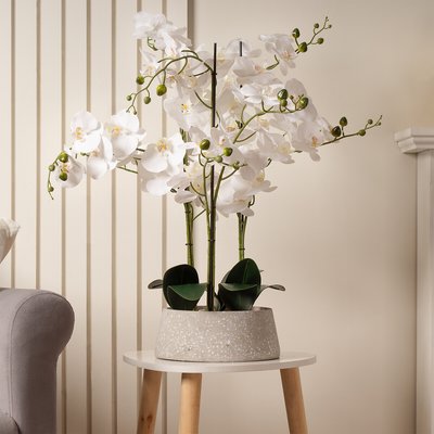 66cm Real Touch 3-Stem Orchid in Grey Terrazzo Pot SO'HOME