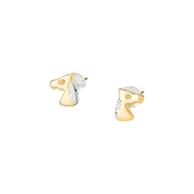 Boucles d'oreilles en or 375 CLEOR