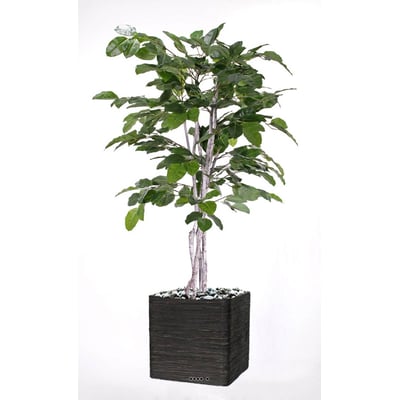 Figuier des Banyans artificiel 180 cm ARTIFICIELLES