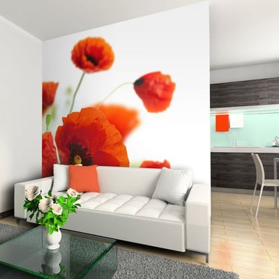 Papier peint intissé panoramique Fleurs Poppies on the wihite background EDEN