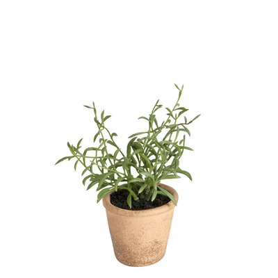 Romarin en pot effet terre cuite artificiel H14 SIA DECO