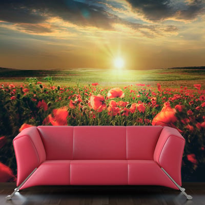 Papier peint intissé panoramique Fleurs Morning on the poppy meadow EDEN