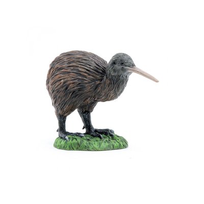 Kiwi PAPO
