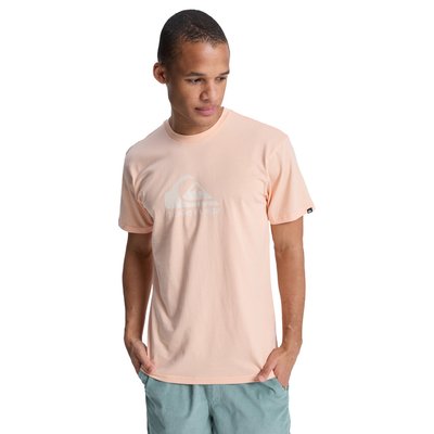 T-shirt à manches courtes EV COMP LOGO QUIKSILVER
