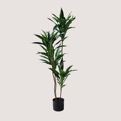 120cm Real Touch Artificial Green Dracaena SO'HOME