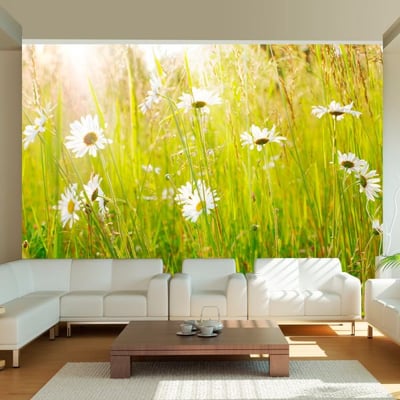 Papier peint intissé panoramique Fleurs Champ de marguerites EDEN