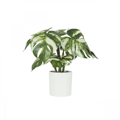 Monstera artificiel variegata toucher naturel 35cm LIGNE DECO