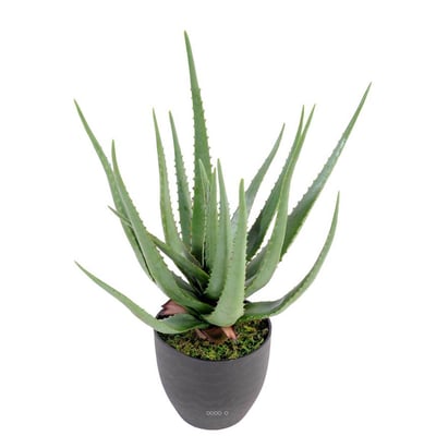 Aloé Vera artificiel H 60 cm cactus ARTIFICIELLES