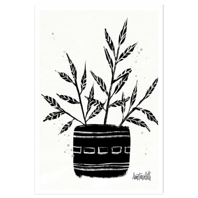 Illustration Botanique et Poterie terre cuite HEXOA