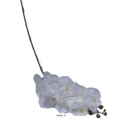 Branche de fausse orchidée pour décoration ARTIFICIELLES