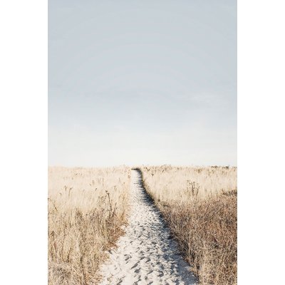 Tableau mer chemin dans la dune HEXOA