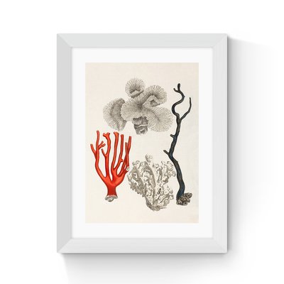 Coral by Capricorn Press EAST END PRINTS