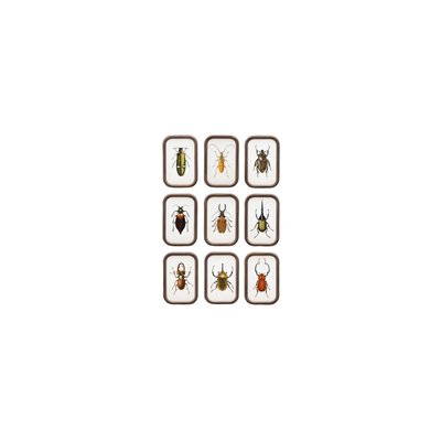 Cadres en bois insectes (Lot de 9) INSECTES CHEHOMA