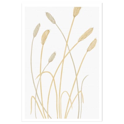 Affiche  scandi blés 2 HEXOA