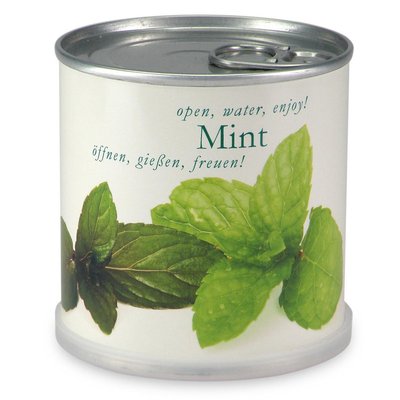 Menthe à faire pousser en boite MAC FLOWERS