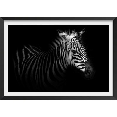 Affiche zebre dans la lumière HEXOA