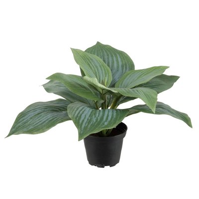 Hosta artificiel en pot H 20 cm D 30 cm Large ARTIFICIELLES