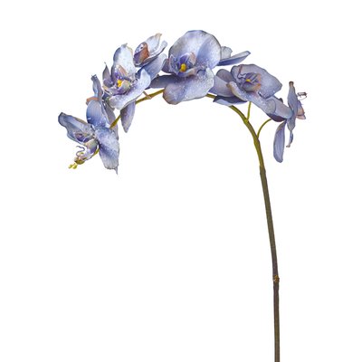 Tige d'orchidée phalaenopsis artificielle H100 SIA DECO