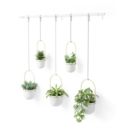 Ensemble de 5 pots suspendus - TRIFLORA UMBRA
