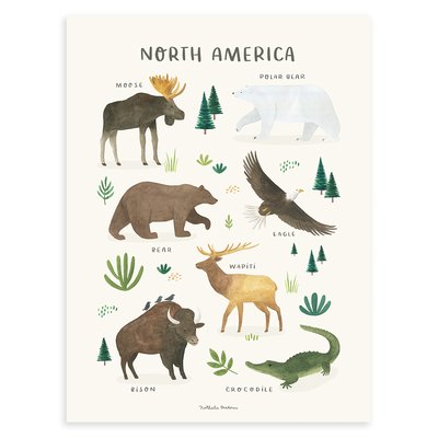 Affiche enfant animaux Amérique du nord LIVING EARTH LILIPINSO
