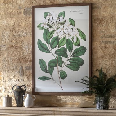 100x70cm Foliage and Blooms Framed Art SO'HOME