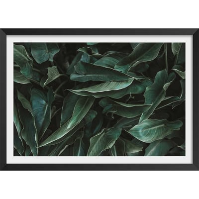 Affiche green leaves HEXOA