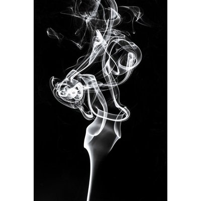 Tableau  white smoke tulip dream HEXOA