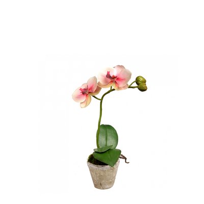 Orchidée en pot artificielle H28 SIA DECO