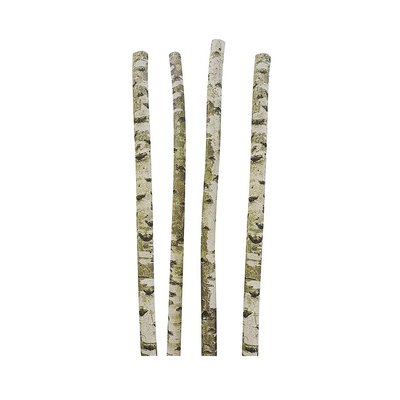 Troncs de bouleau décoratifs (Lot de 4) AUBRY GASPARD