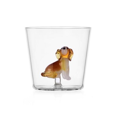 Verre chien  Dogs Golden Retriever ICHENDORF