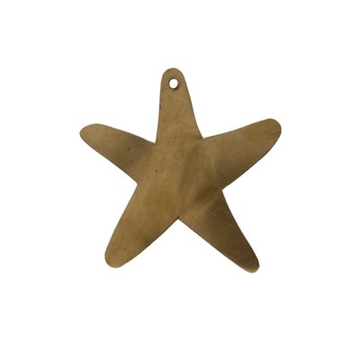 Déco murale étoile de mer en laiton HOME MAISON