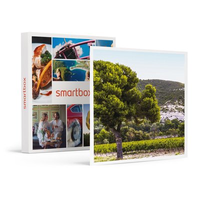 Box œnologie : 6 bouteilles de vin rosé livrées à domicile- SMARTBOX - Coffret Cadeau Gastronomie SMARTBOX