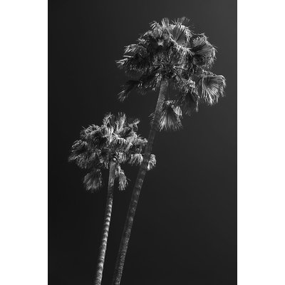Tableau noir et blanc Ambiance Californie HEXOA