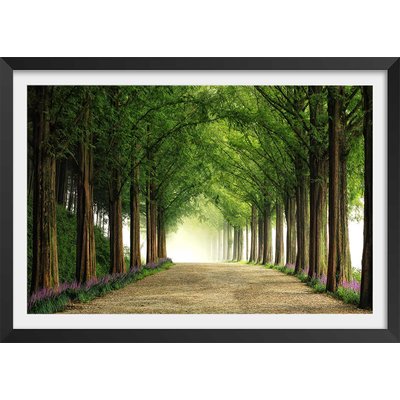Affiche L'arbre Metasequoia HEXOA