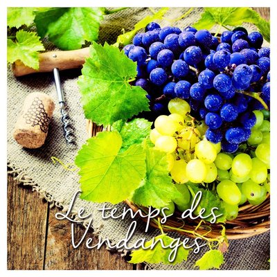 Lot de 20 serviettes papier vendanges DOUCEUR D'INTÉRIEUR
