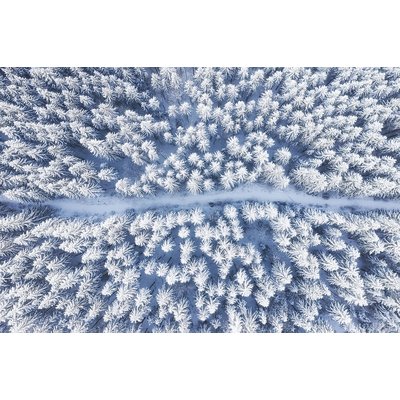 Tableau foret bleue de neige blanche HEXOA