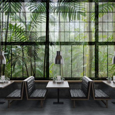 Vue panoramique Rainforest HOME MAISON