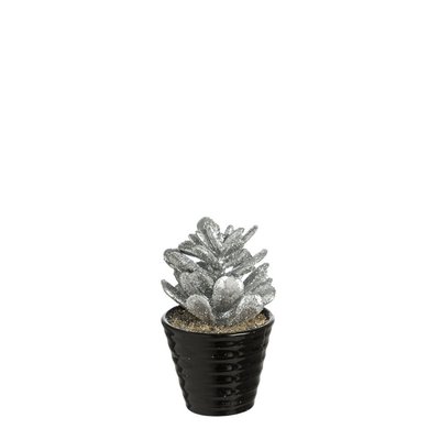 Succulente artificielle crassula pailletée en pot H15 SIA DECO