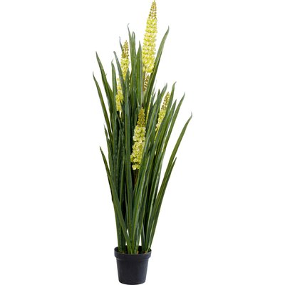 Plante décorative Rhynchostylis 150cm KARE DESIGN