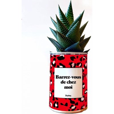 PLANTE_Barrezvous de chez moi STYLEY