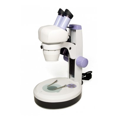 5st Microscope - couleur blanc LEVENHUK
