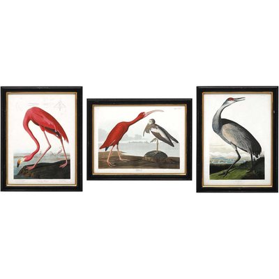 Ensemble de 3 cadres Oiseaux JARDINDECO